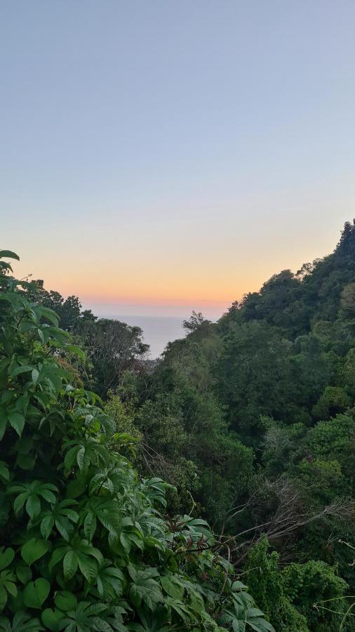 Le Cocon De Madana Διαμέρισμα Saint-Joseph Εξωτερικό φωτογραφία